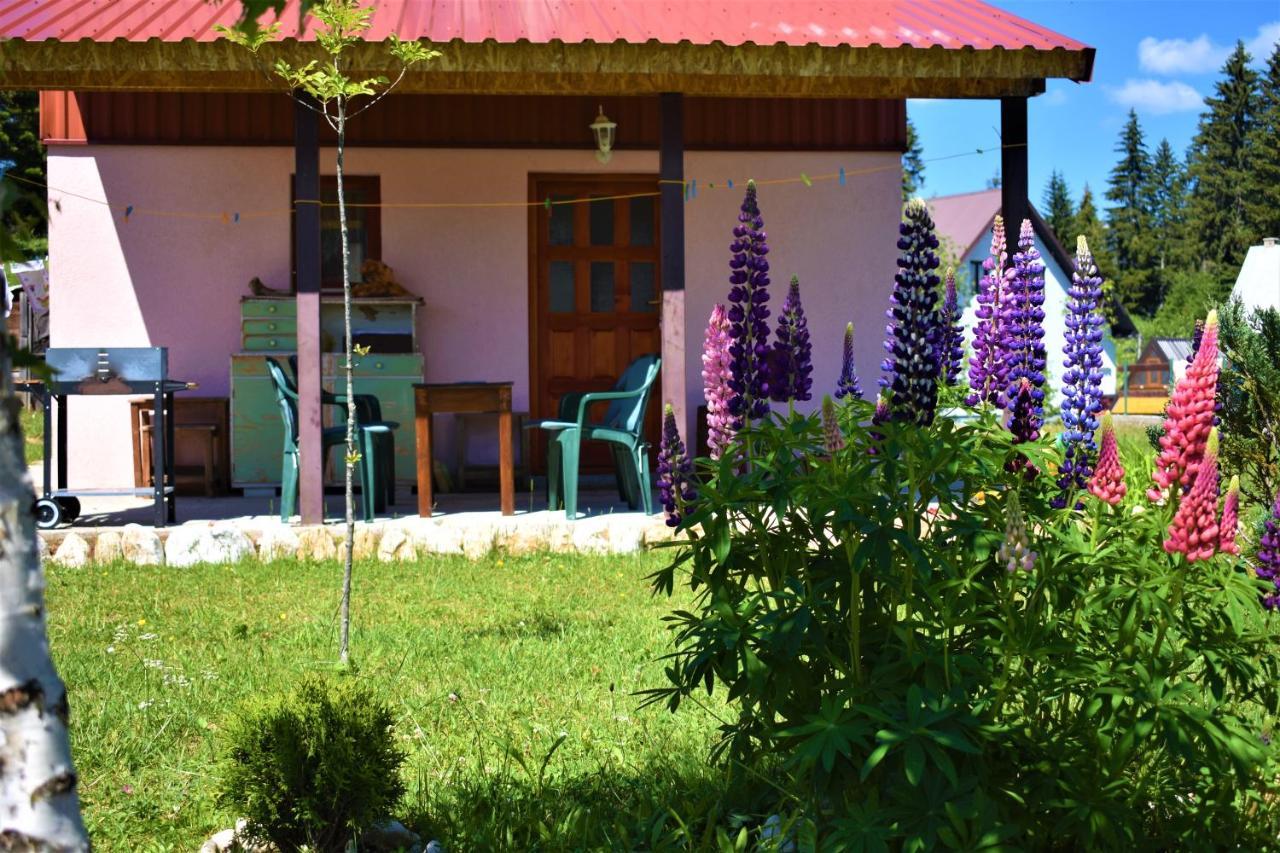 Sepic Accommodation Žabljak Exterior foto